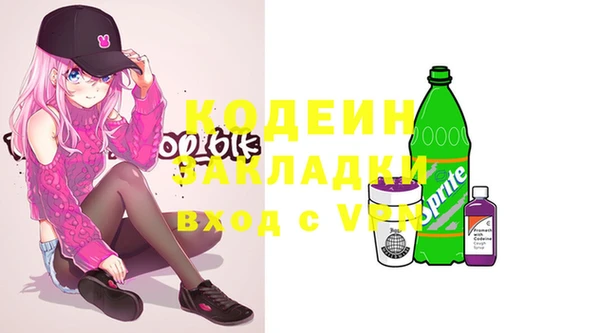 гашик Алексеевка