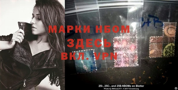 гашик Алексеевка