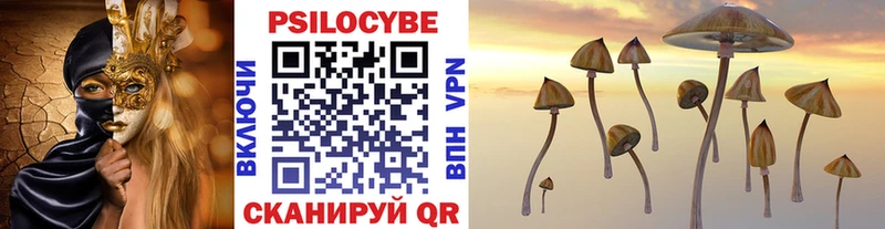 как найти   Усть-Илимск  Псилоцибиновые грибы мицелий 